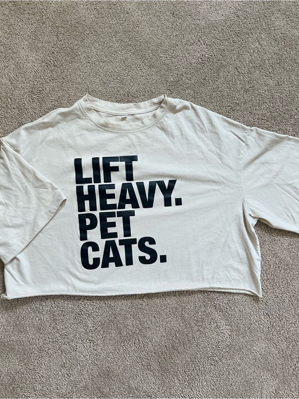 Lift Heavy Pet Cats Crop Top - Apricot - 2XL